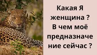 Таро . КАКАЯ Я ЖЕНЩИНА ? В ЧЁМ МОЁ ПРЕДНАЗНАЧЕНИЕ СЕЙЧАС ? 