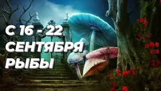 ❤️РЫБЫ. ♓️С 16 - 22 сентября 2024.♓️