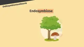 Endosymbiontentheorie – Entstehung der Chloroplasten und Mitochondrien einfach erklärt | sofatutor