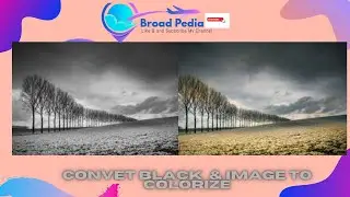 How to convert black & white image to colorize image.