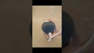 Творожные печенья к чаю. Печенье "гусиные лапки". Kəsmikli qurabiyələr.