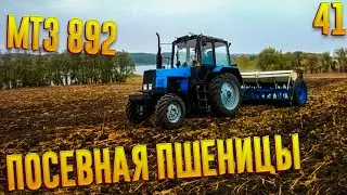 МТЗ 892 И СЗ-3.6! ПОСЕВНАЯ ПШЕНИЦЫ!