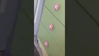 Blue Rabbit watches 4 Scary logos