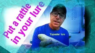 How to make a lure rattle
