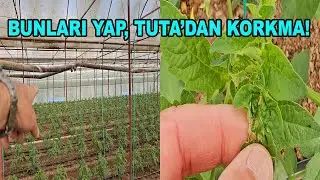 BUNLARI YAPARSAN TUTA BAŞINA DERT OLMAZ!
