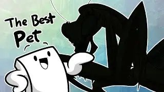 My Favorite Pet (A.K.A The Best Pet)