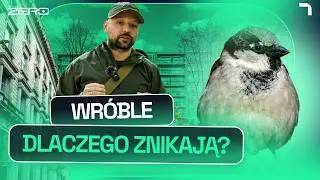 TO BĘDZIE KATASTROFA - CO SIĘ STANIE, JEŚLI ZNIKNĄ WRÓBLE | GATUNEK ZERO #37