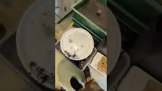 WORM FARM!