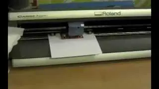 In soli 5 minuti...