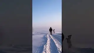 В память о верном друге 🐕