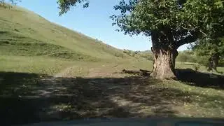 Дорога в исчезнувшую Шмидтовку (Балтайский район).