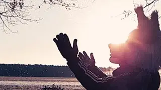 → Furry Music Video |Beautiful Creatures|