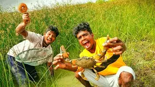 கோரை குத்து சம்பா நண்டு |Mud Crab Hunting With Adventures of venu@Venuadventures