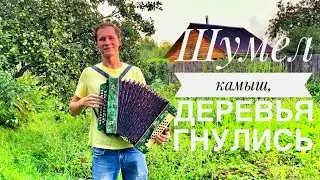 ПЕСНЯ ИЗ НАРОДА || ШУМЕЛ КАМЫШ, ДЕРЕВЬЯ ГНУЛИСЬ || НА РАЗРЫВ ДУШИ ПОЕТ || ДЕРЕВЕНСКАЯ ЖИЗНЬ || ПЕСНЯ