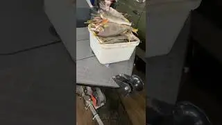 Новый винт с озона , гаражный движ ! 