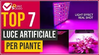 Luce artificiale per piante - Top 7 - (QualeScelgo)