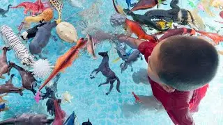 Pool Playtime Toy Animals and Dinosaurs with @AngelandAaronPlay