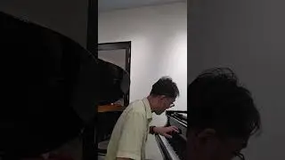 Liszt Consolation no. 3 in D flat, guess the piano