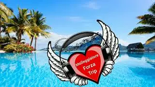 Gigi Dag - Molleggiatore - Cj van Brakel Forza Trip