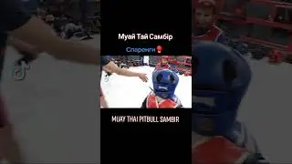 Muay Thai Pitbull Sambir