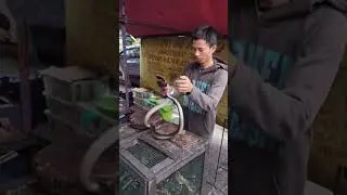 Live King Cobra Snake Eating of Indonesia 