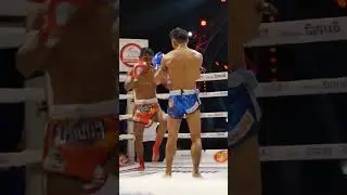 Muay Thai warriors going hard in Bangkok stadium 🔥 
