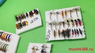 Отправка мушек в регионы РФ / Sending flies to the regions of the Russian Federation