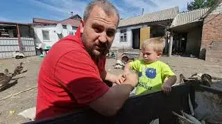 вот такая неприятность получилась🤷‍♂️