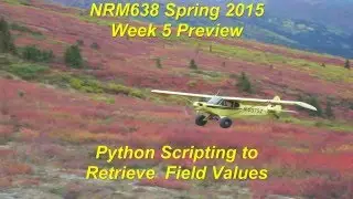 1) Retrieving Field Values using Data Access Search Cursor