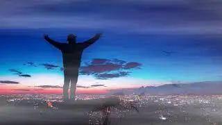 Александр Шалунов - Стрижи.