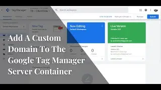 How To Add A Custom Domain To The Google Tag Manager Server Container || FB CAPI || Shoaib Santo