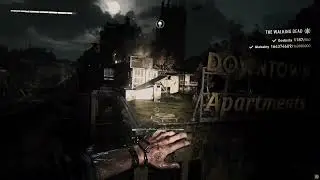 Dying Light 2 Night Ambient OST (?)