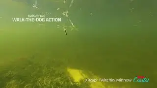 Воблер Rapala X Rap Twitchin Minnow