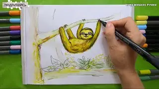 Рисуем ленивца