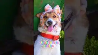 извините что пропали мы:(