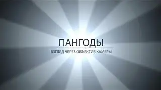 Пангоды. Трейлер.
