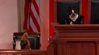 Bank of America Corp. v. City of Miami: Oral Argument - November 08, 2016