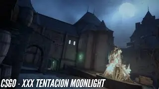 moonlight