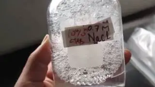How to prepare CTAB reagent for DNA extraction