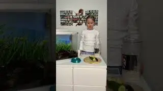 Детское исследование на тему 