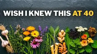 18 Natural Antibiotics Growing in Your Garden Doctors Never Talk About