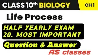 Life Processes | 20 Most Important Questions !! ✅✨ | Class 10 Half-yearly exams 🔥 AS CLASSES