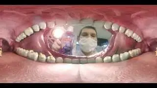 Colgate Experience 360