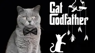 The Godfather But With A Cat | Cat Godfather