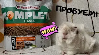 Versele-Laga Cavia Complete / ОТЗЫВ О КОРМЕ