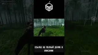 Графика Ghost of Tsushima #обзор #ghostoftsushima #игры #nonamesquad #видеоигры #sony #чтовнутри
