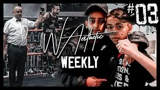 AESTHETIC WEEKLY - KING OF THE NORTH #ALITAZEEMLEGACY