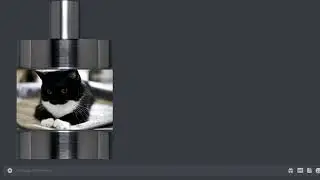 Discord Cat