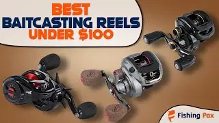 Best Baitcasting Reels Under $100