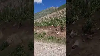 Дари Камароб Субадай!